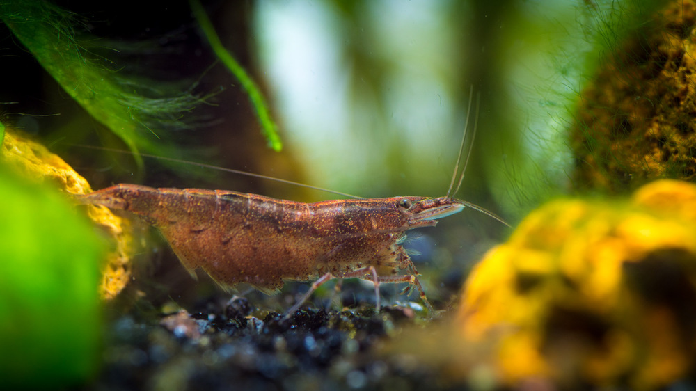 _DSC2670.JPG