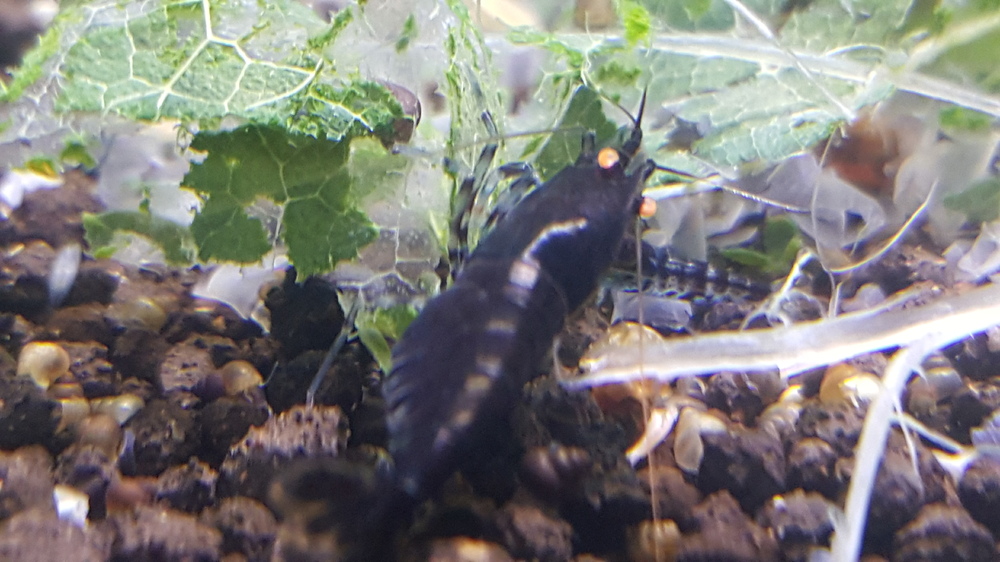 20160503_195153.jpg