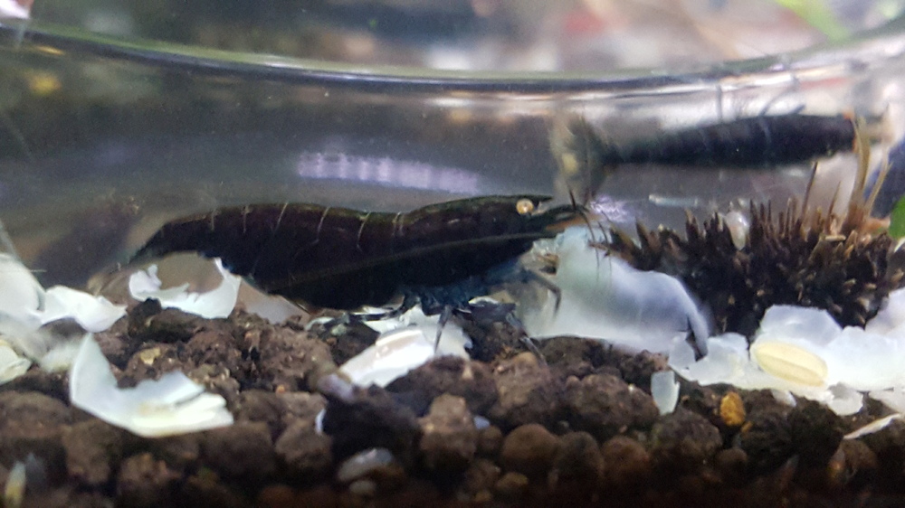 20160504_221602.jpg