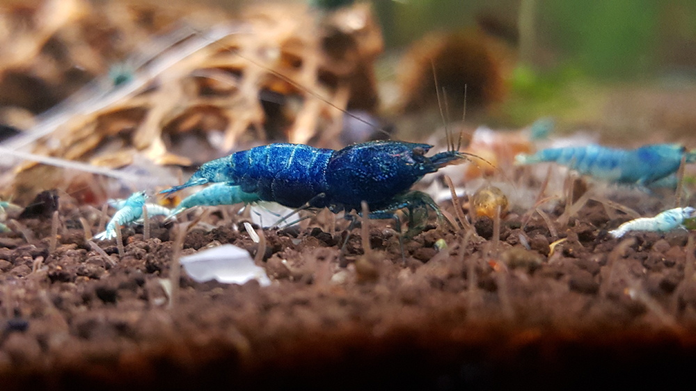 20160505_202125.jpg
