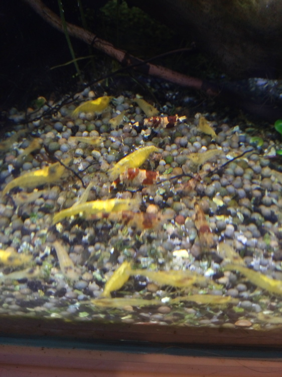 IMG_20160514_200727.jpg
