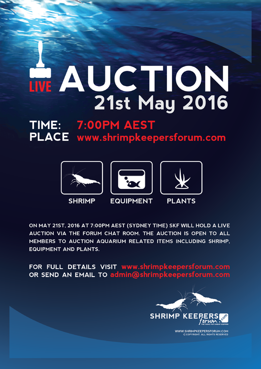 SKF-Auction-Poster-May-2016.png