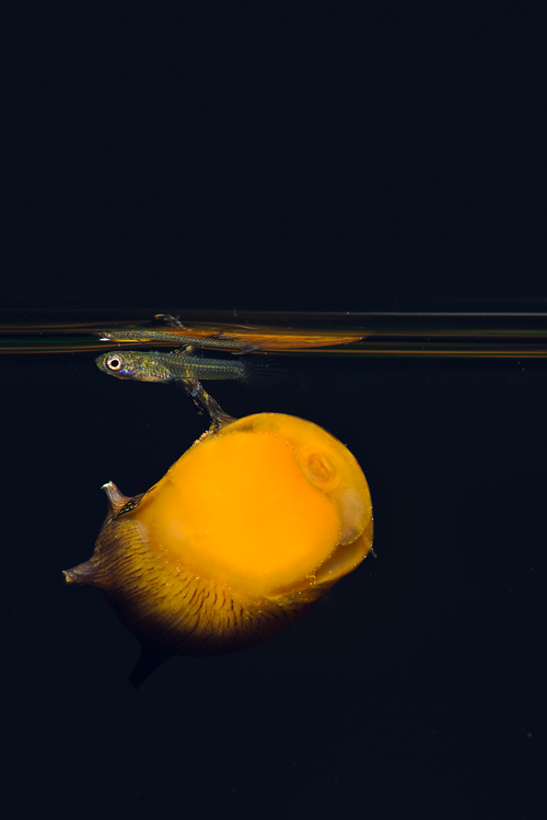 _DSC2947-Edit.JPG