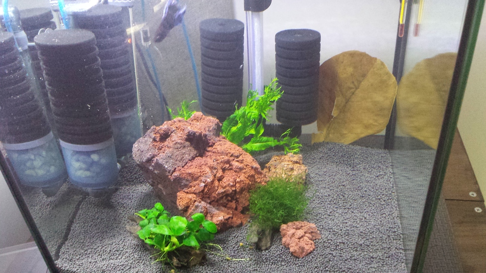 20160601_150837.jpg