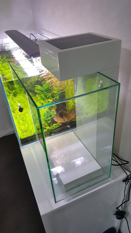 20160612_220355.jpg