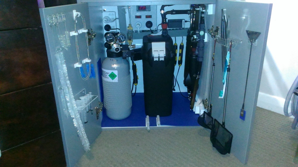 Inside Cabinet.jpg