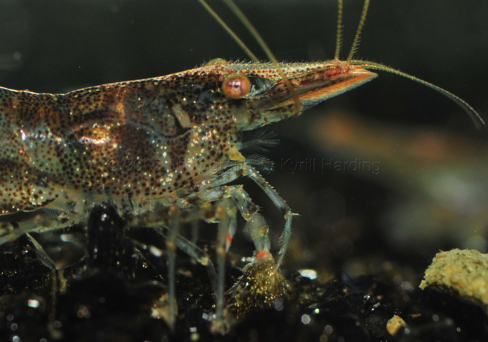 crop_DSC_9568 copy.jpg