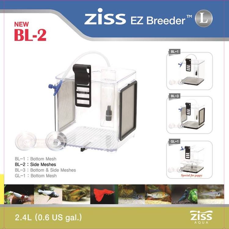 BL21.jpg