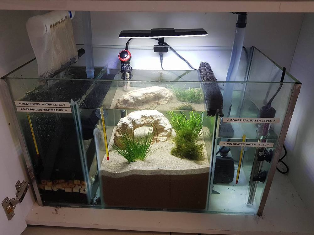 sump.jpg