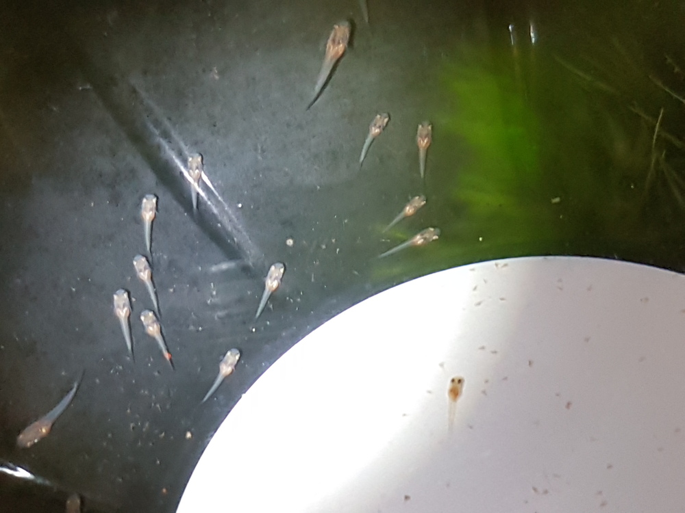 20160906_195413.jpg