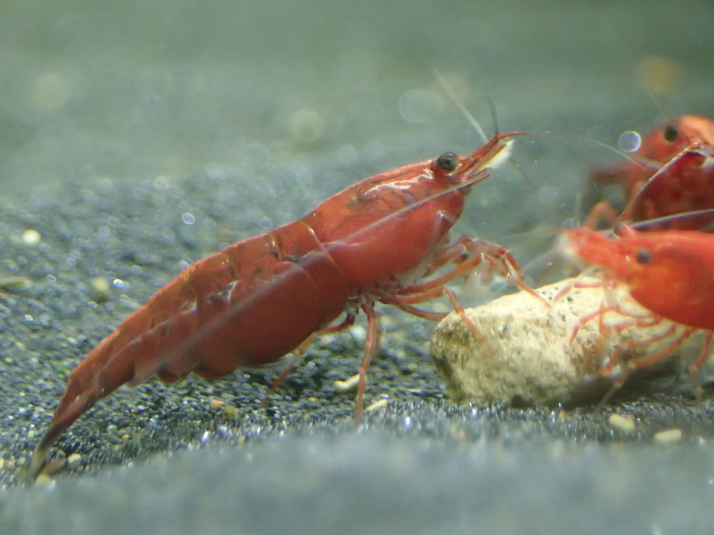 P9220515.JPG