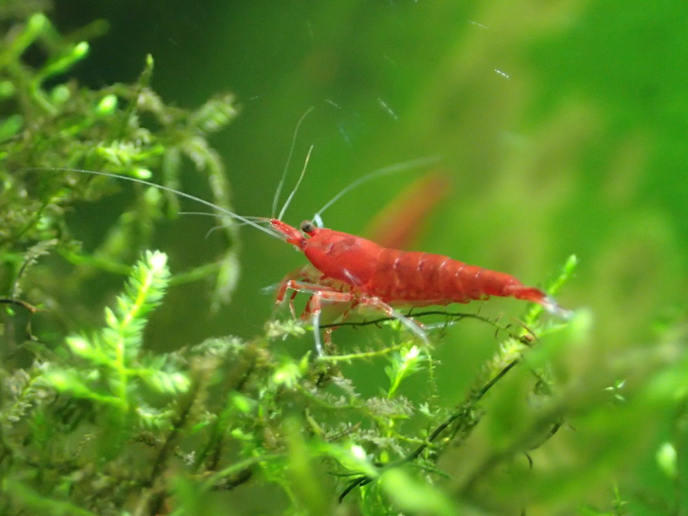 PA060566.JPG
