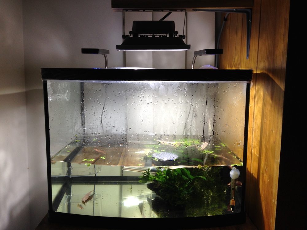 IMG_1366.JPG