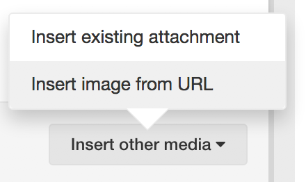 insert media.png