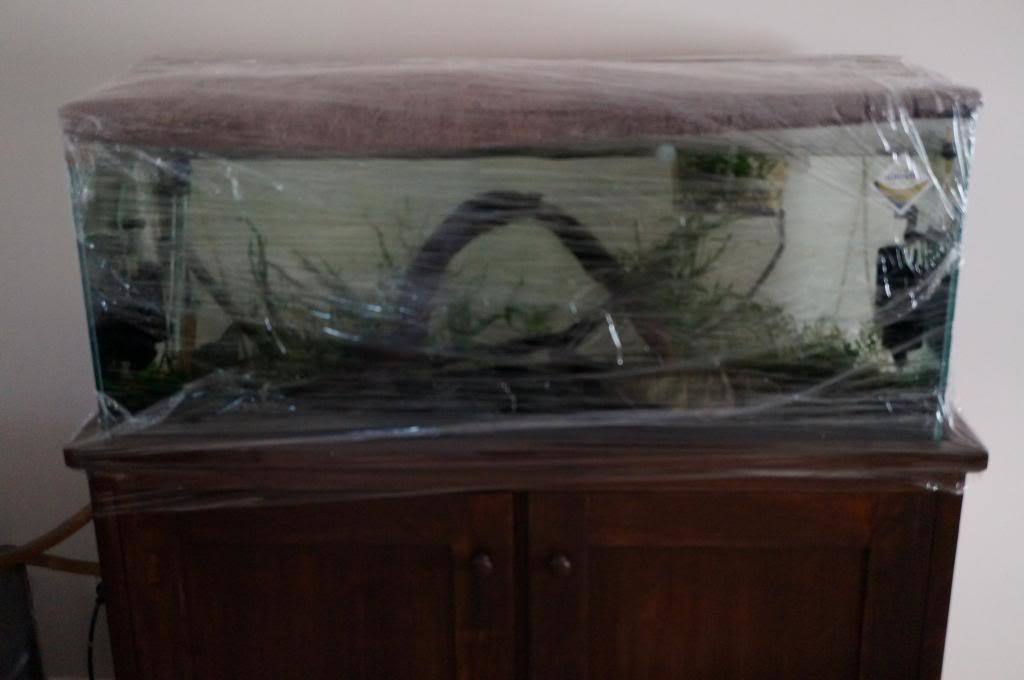 More information about "Protecting your shrimp tank when using insecticide bombs"