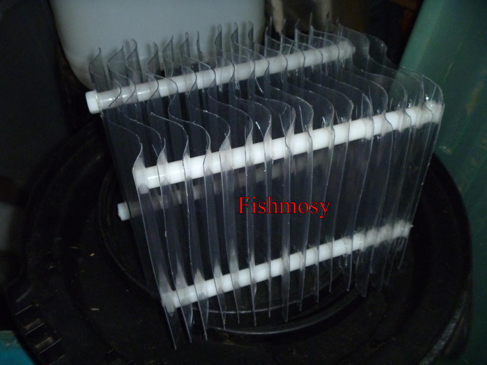 my_plates.thumb.jpg.83427fe433912fbd5e1afc6c23c38a6f.jpg