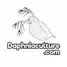 daphniaculture.com