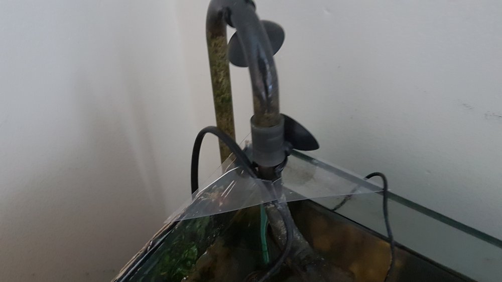 20180208_083024.thumb.jpg.f55561bdb4d71d5dc12be457582e4017.jpg