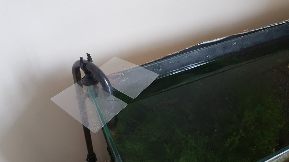 20180208_083327.thumb.jpg.5347fd2d0889e192c943a45dff03c19e.jpg