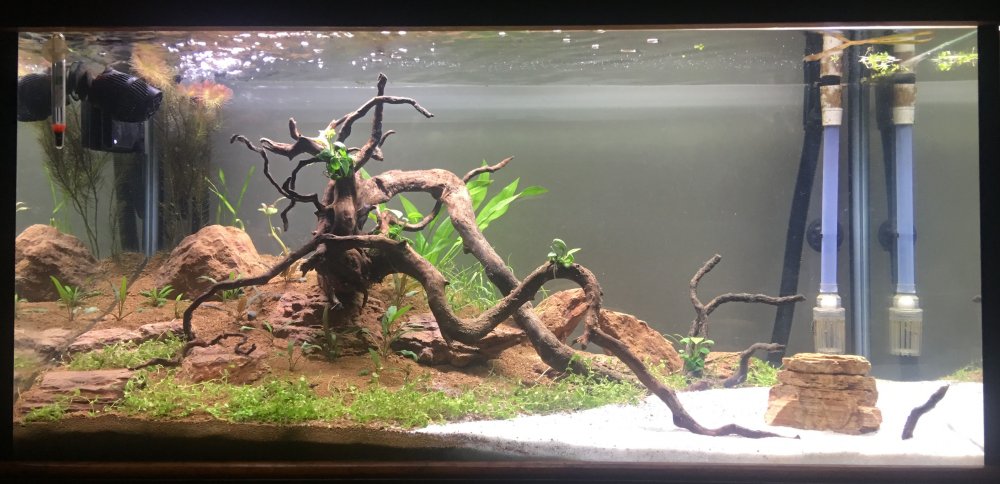 tank cycled march3.jpg