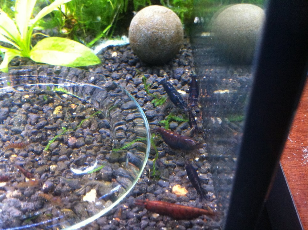 2013-11-09_11_57_35.jpg