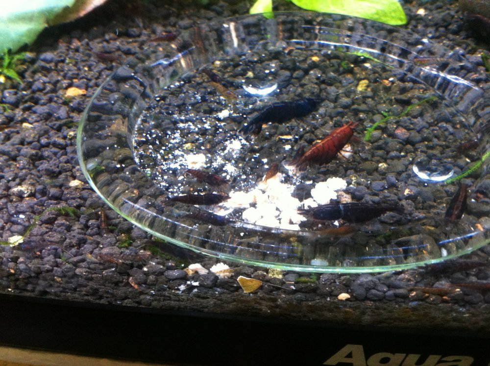 2013-11-09_12_11_00.jpg