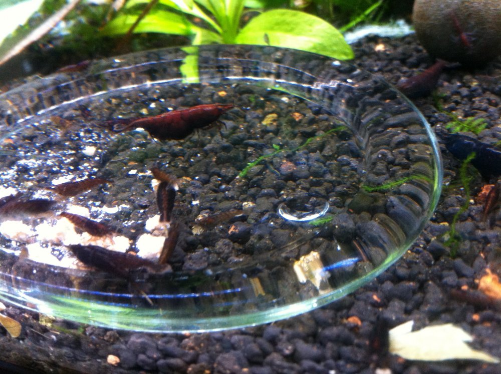 2013-11-09_12_11_49.jpg