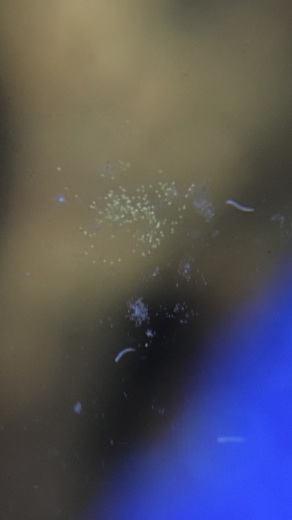 42C91424-09F5-4DF3-AA62-02B1DBEA2801.png