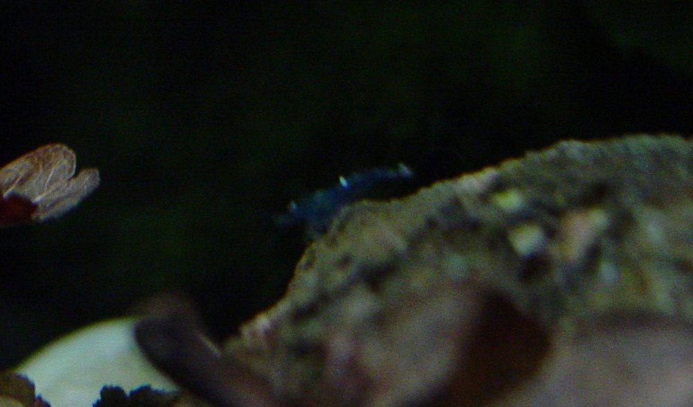 DSC00090.JPG