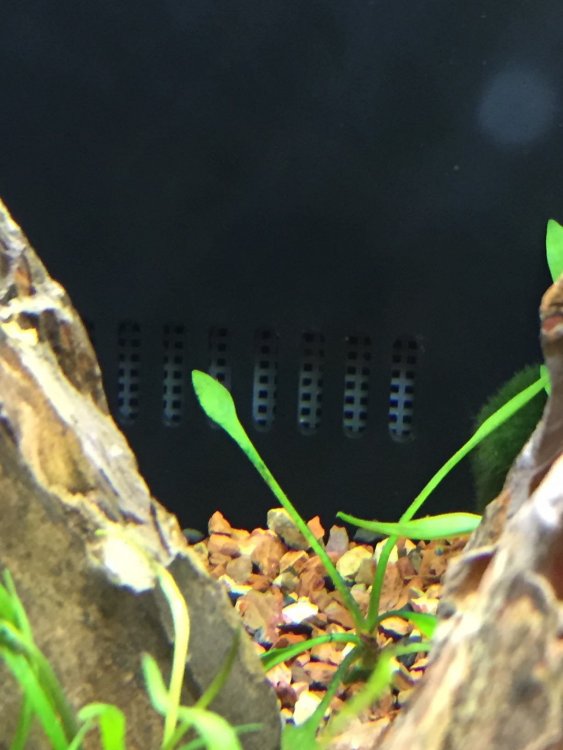 Filter Intake.jpg