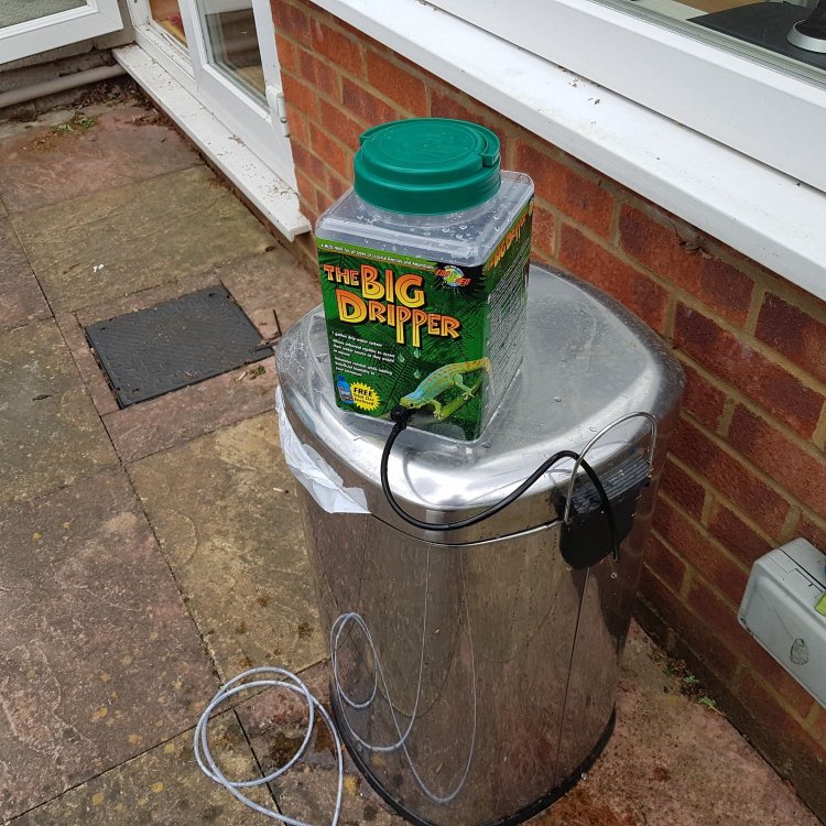 20190502_133223-min.jpg