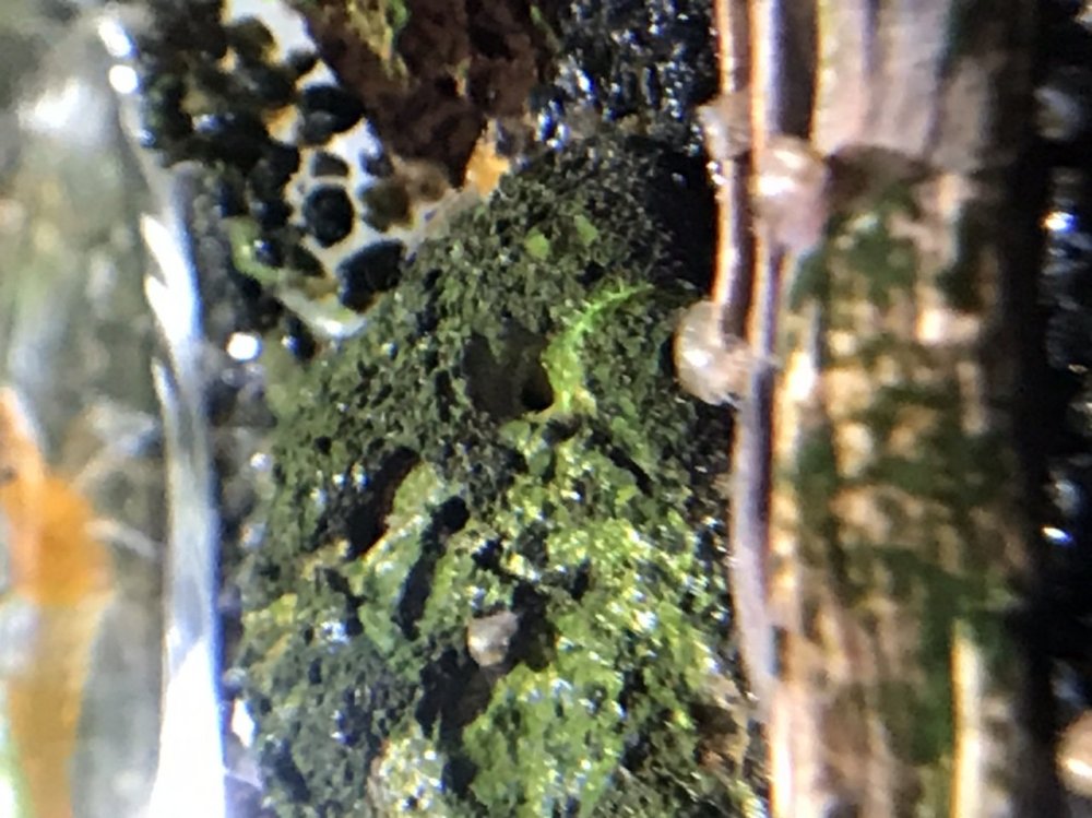 41D264DE-D7C7-4D25-91E8-1556833F9A76.jpeg
