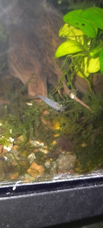IMG20200926221916.jpg